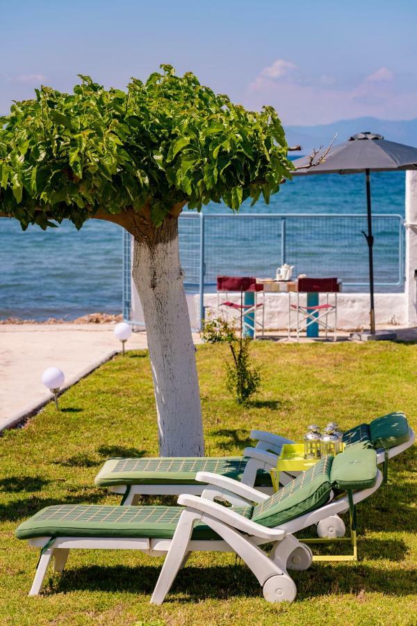 Kiko, The Coastline House Villa Kato Achaia Exterior foto